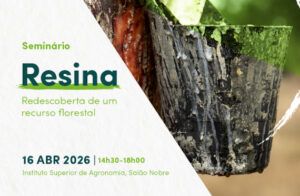 Resina: redescoberta de um recurso florestal