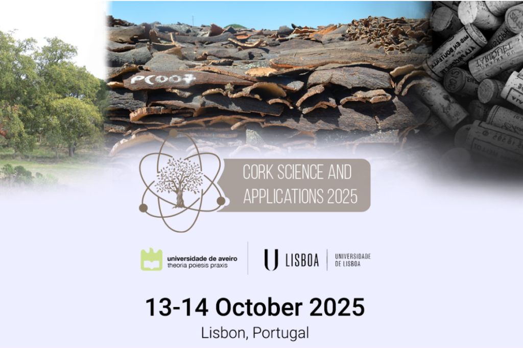 Captura de ecra 2025 03 14 173405 1024x681 1