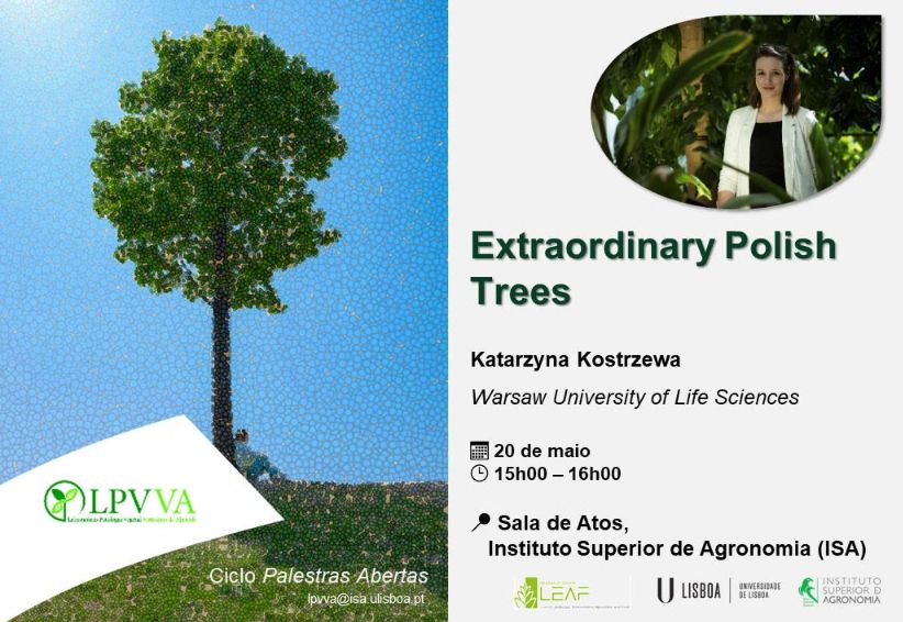 Captura de ecra 2025 05 16 194439