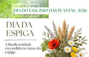 Dia da Espiga – A Biodiversidade escondida no ramo da espiga