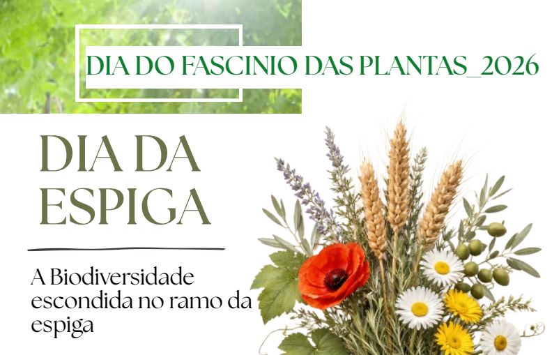 Captura de ecra 2026 04 14 170406
