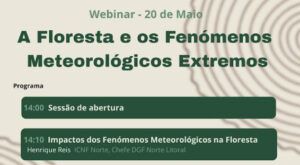 Webinar: A Floresta e os Fenómenos Meteorológicos Extremos