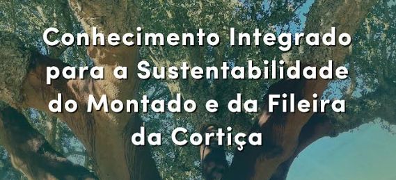 Seminário “Conhecimento Integrado para a Sustentabilidade do Montado e da Fileira da Cortiça” Captura de ecra 2026 05 20 171310