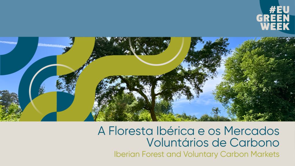 forms banner 23 2048x1151 1 1024x576 1