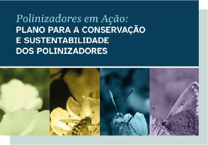 Abril 2026 plano polinizadores pt