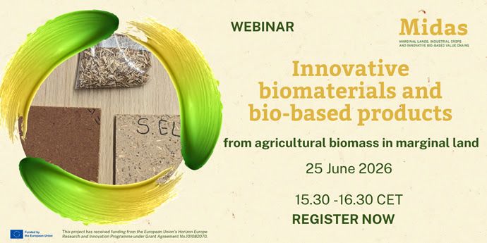Webinar "Innovative biomaterials and bio-based products from agricultural biomass in marginal land" unnamed3
