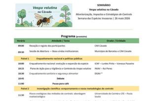 Seminário “Vespa velutina no Cávado”