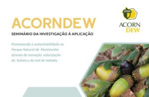 AcornDew – Seminário da Investigação à Aplicação