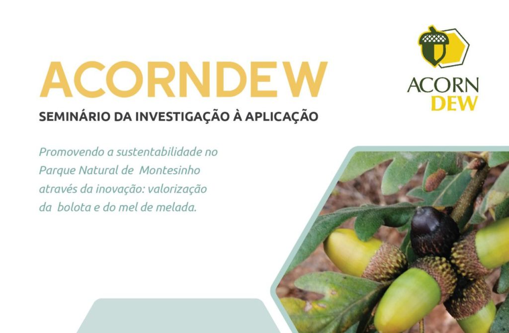 AcornDew - Seminário da Investigação à Aplicação Captura de ecra 2025 03 19 155322 1024x670 1