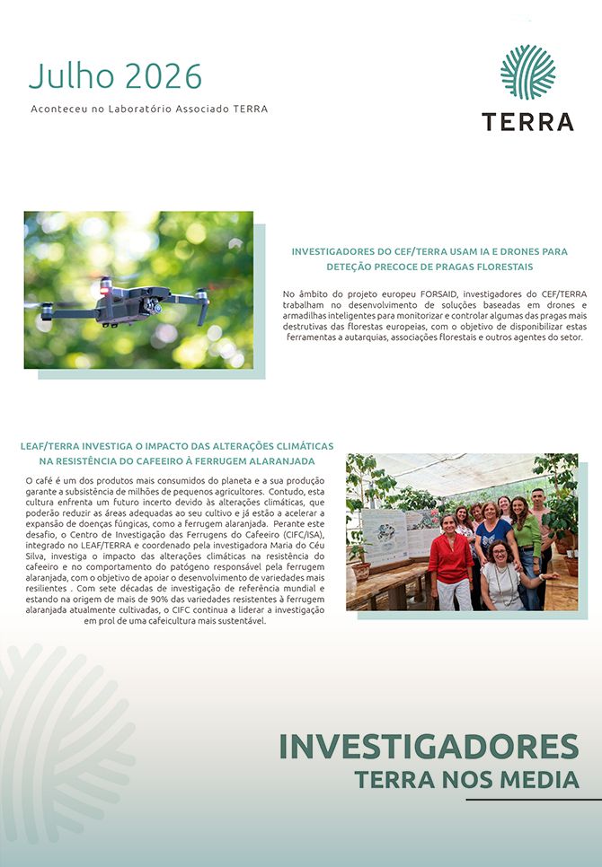Julho 2026 Thumbnail Newsletter TERRA juLho 2026 1