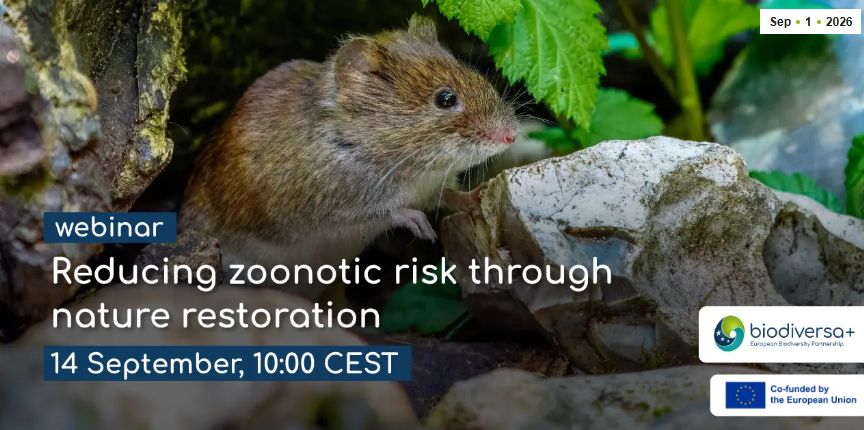 Webinar: Reducing zoonotic risk through nature restoration image 2026 09 04 103322488
