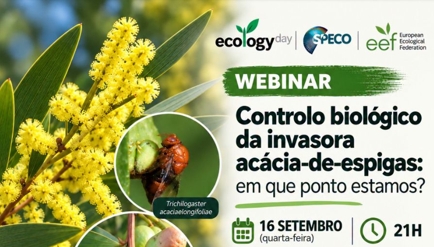 Webinar "Controlo biológico da invasora acácia-de-espigas: em que ponto estamos?" image 2026 09 14 113952931